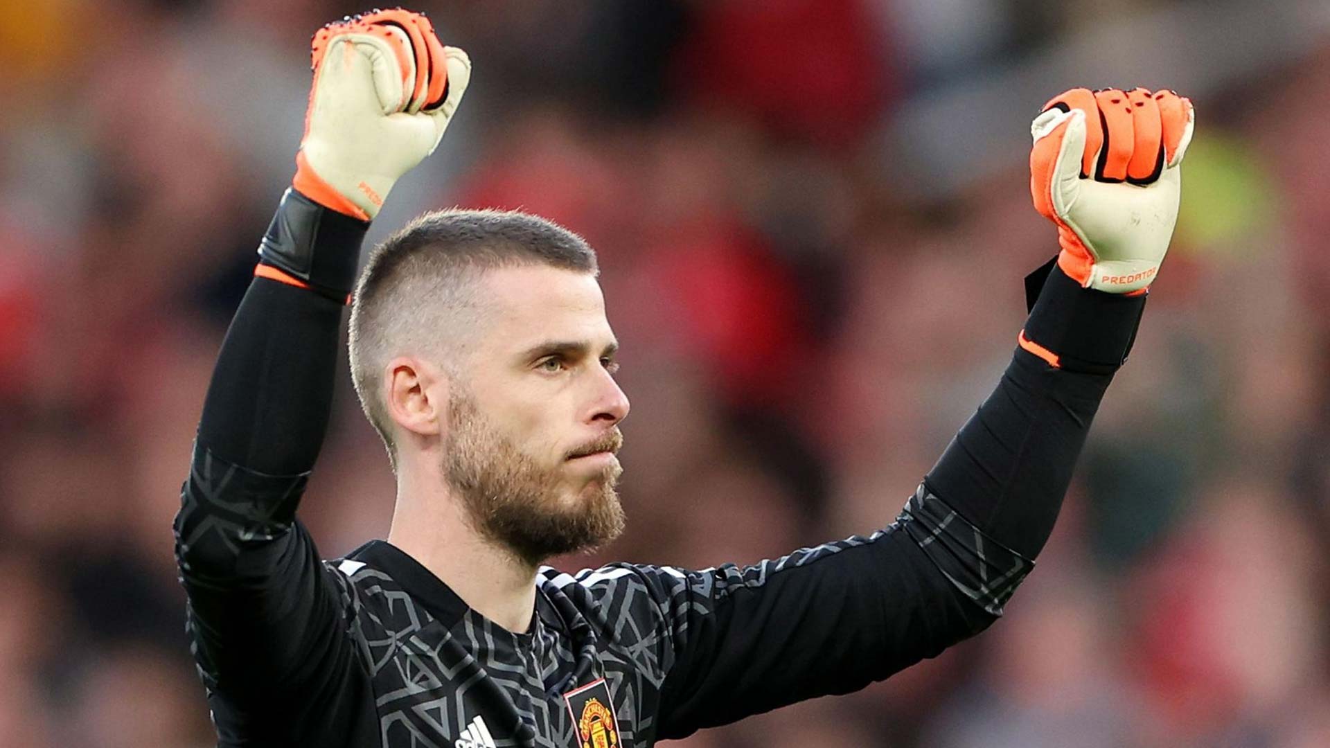 David de Gea Sepakati Kontrak Dengan Fiorentina