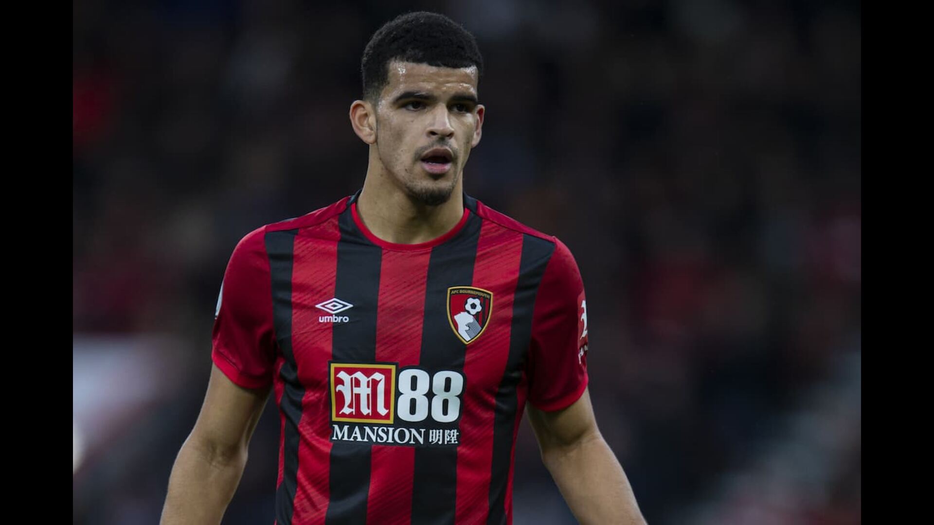 5 Hal yang Perlu Anda Ketahui Soal Bintang Bournemouth, Dominic Solanke